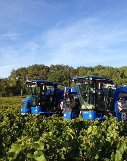 Prestations de <span>travaux viticoles, agricoles, pour les particuliers et les professionnels