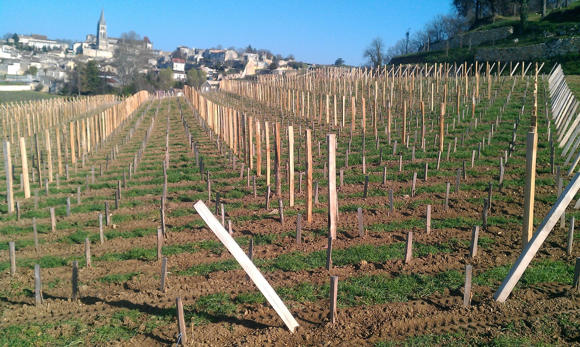 Travaux de vigne mécaniques