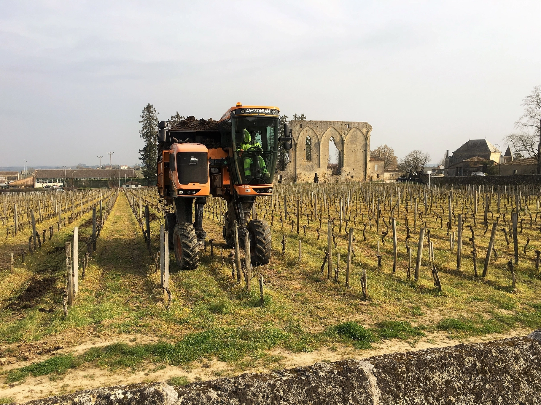 Prestations viticoles près de Saint-Emilion