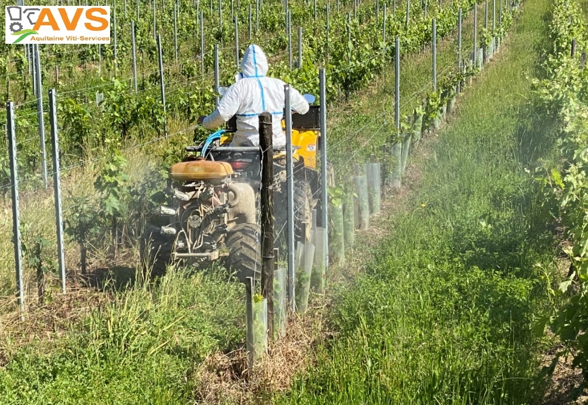 Conseil et gestion de vignobles