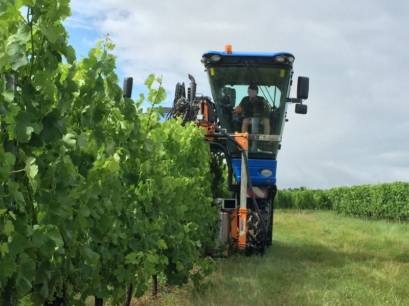 Travaux de vigne mécaniques