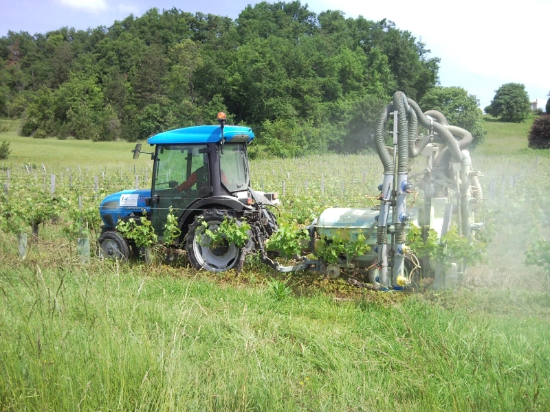 Conseil et gestion de vignobles